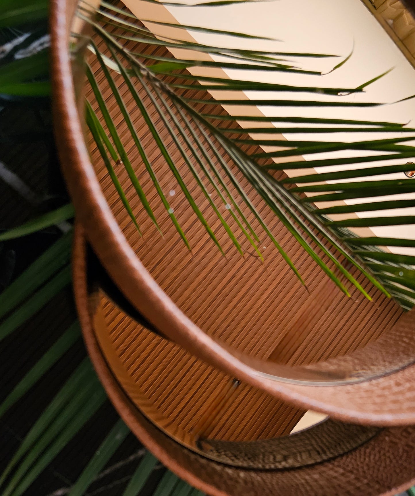 Glide & Grace Trolley (Tan)